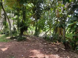 HMS059 - Valuable 10 P Land for Sale in Piliyandala