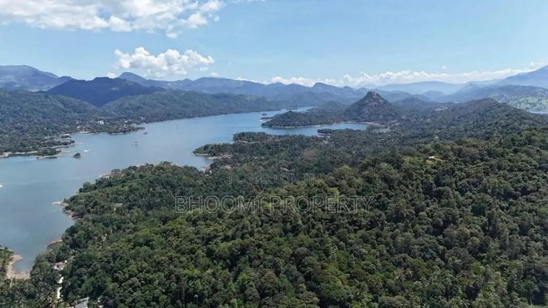 දිගන වික්ටෝරියා ජලාශයට මුහුණලා