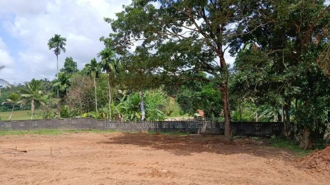 Land in Homagama Krushi Mw