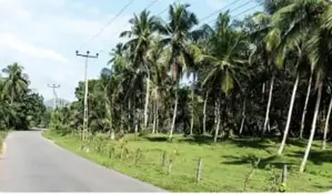 Commercial Land for Sale in Kohuwala