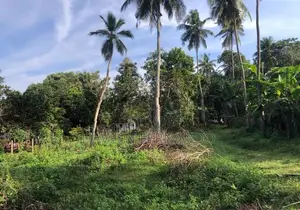 Land for sale in Kuliyapitiya