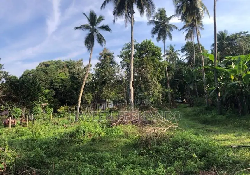 Land for sale in Kuliyapitiya
