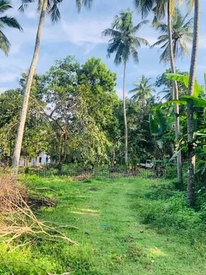 Land for sale in Kuliyapitiya
