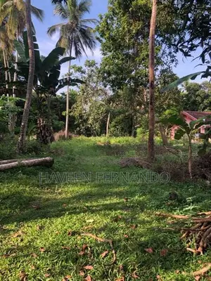Land for sale in Kuliyapitiya