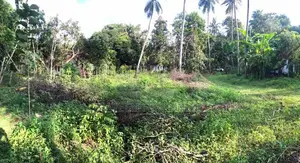 Land for sale in Kuliyapitiya