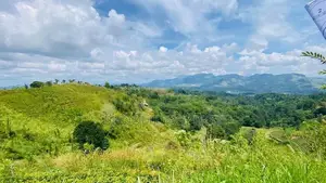 හන්තාන කදු පෙනෙන මානයේ අගනා බිම් කොටස් කිහිපයක්