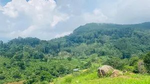 හන්තාන කදු පෙනෙන මානයේ අගනා බිම් කොටස් කිහිපයක්