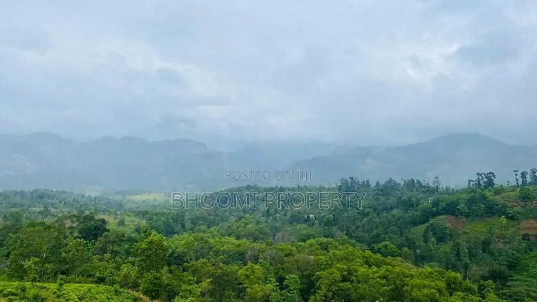 හන්තාන කදු පෙනෙන මානයේ අගනා බිම් කොටස් කිහිපයක්