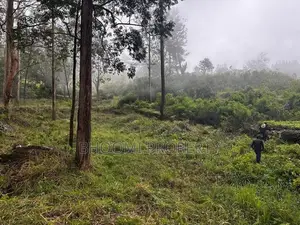හපුතලෙන් ඉඩමක්