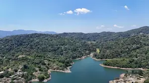 දිගනෙන් ඉඩමක්