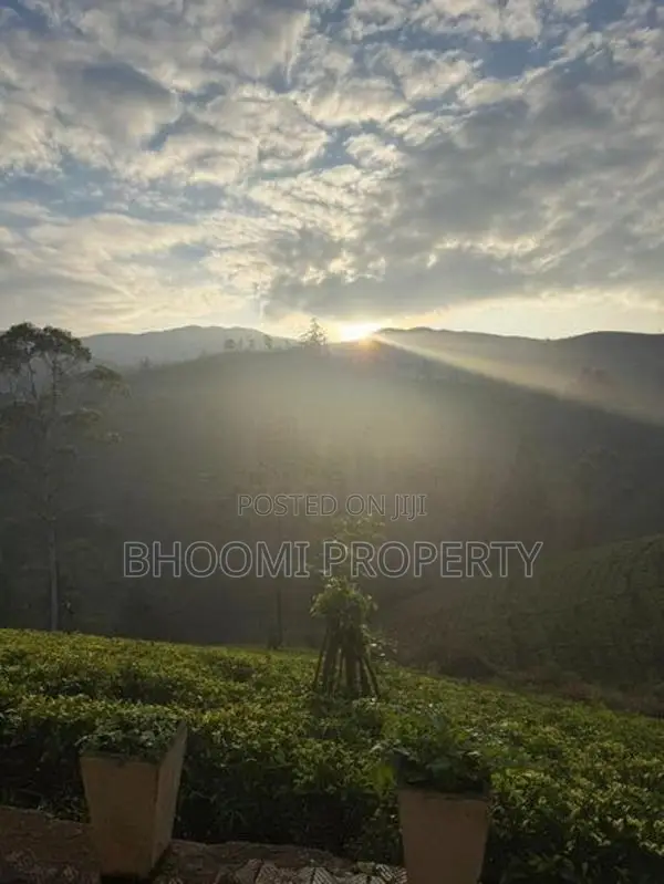 Beautiful Houses For Sale In Rozella