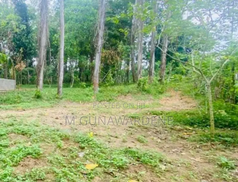 Residential Land in Panadura