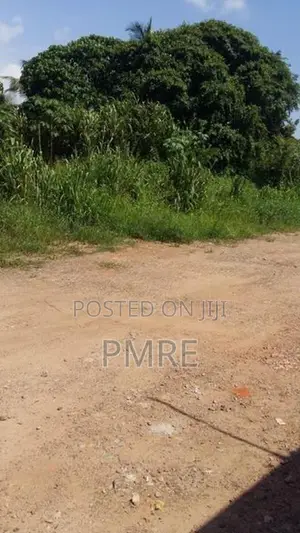 COMMERCIAL LANDS FOR SALE IN HOMAGAMA