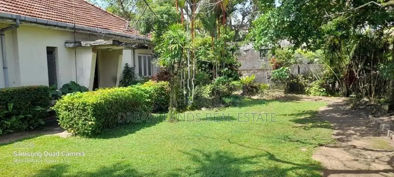 Mount Lavniya 39 perc Land with House For sale