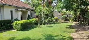 Mount Lavniya 39 perc Land with House For sale
