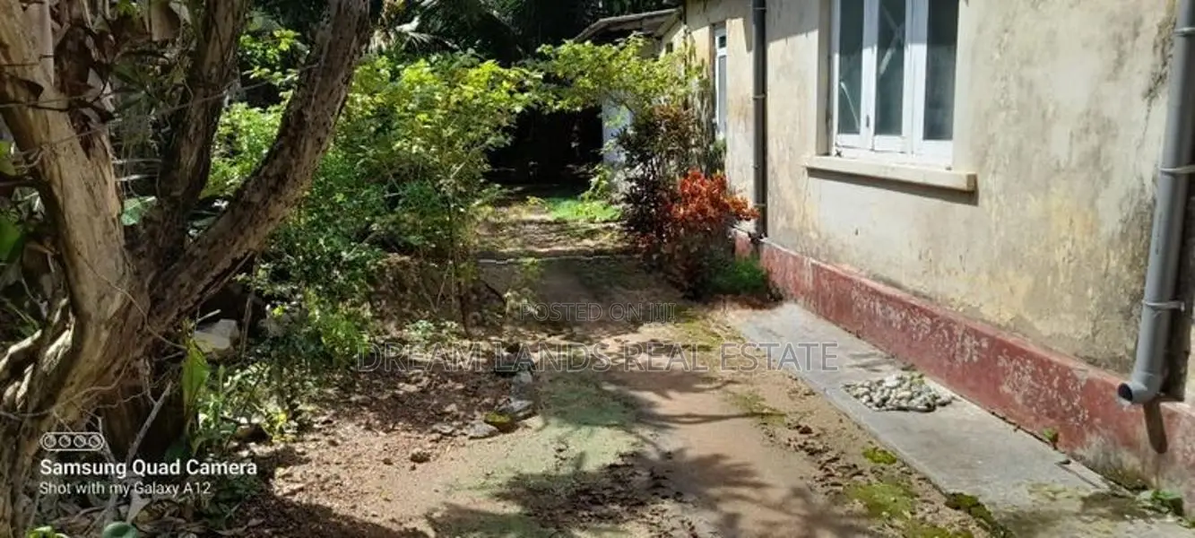 Mount Lavniya 39 perc Land with House For sale