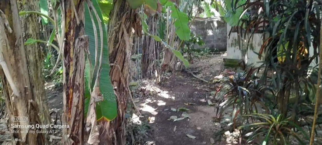 Mount Lavniya 39 perc Land with House For sale