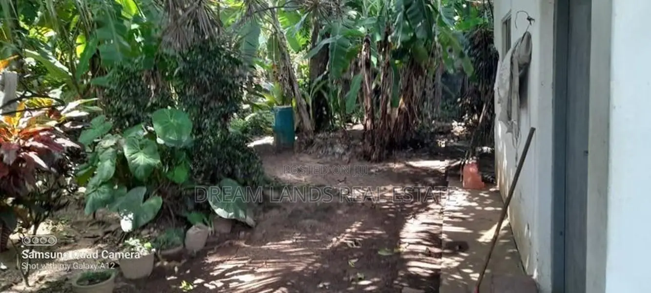 Mount Lavniya 39 perc Land with House For sale