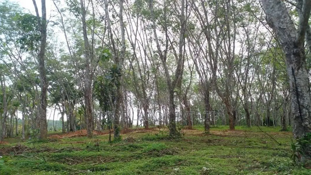 Greenery Lands Plots Ahangama