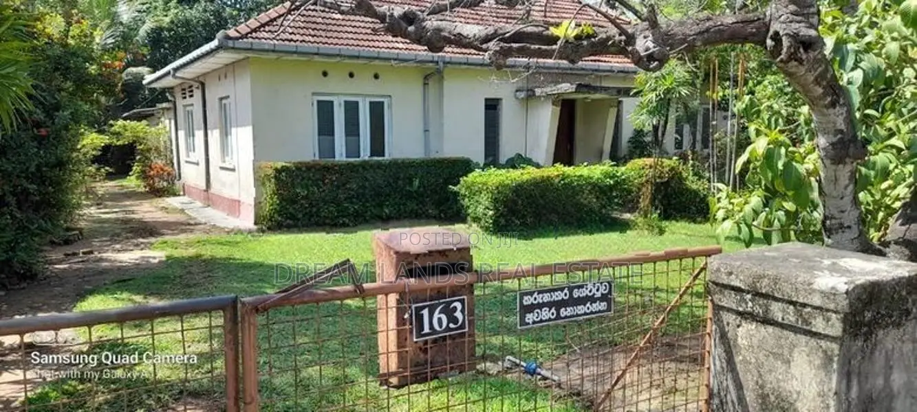 Mount Lavniya 39 perc Land with House For sale