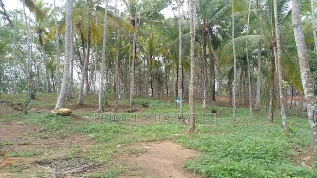 Greenery Lands Plots Ahangama