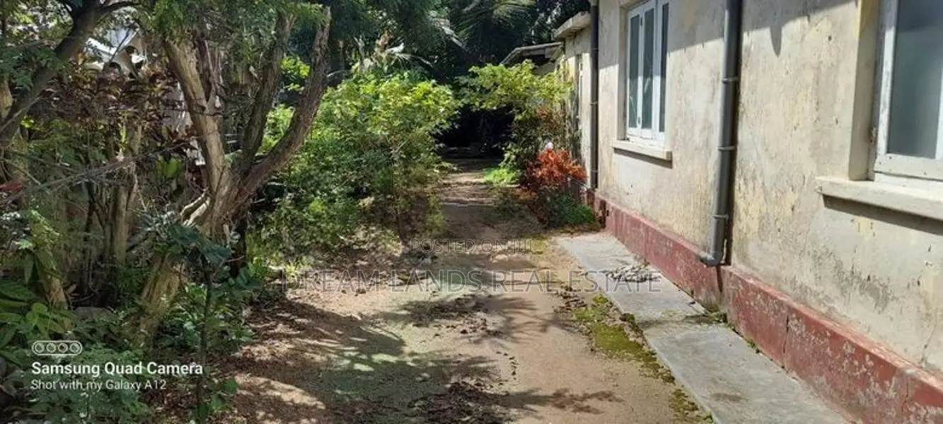 Mount Lavniya 39 perc Land with House For sale