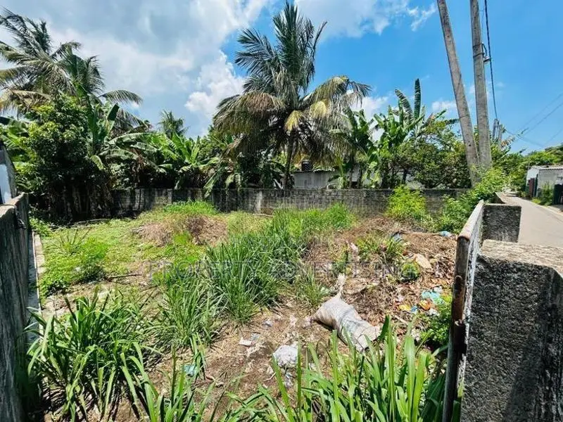 Wattala – Prime Main Road Facing Land for Sale