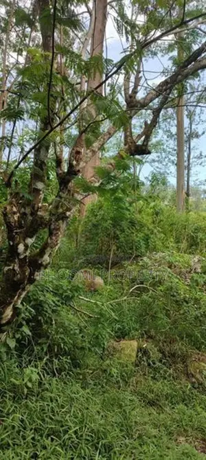Land for sale in Haputale