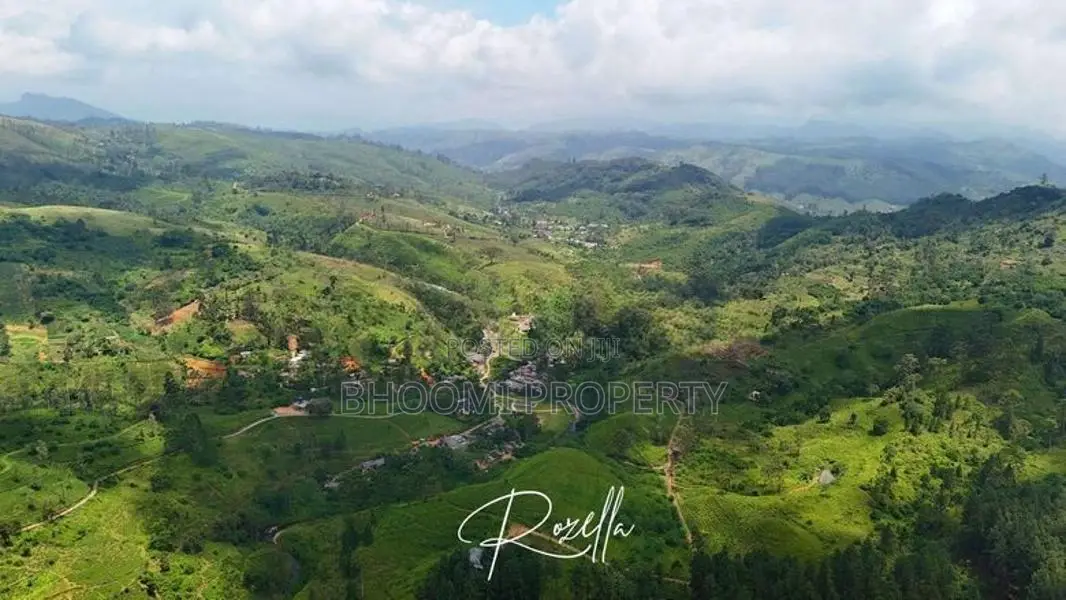 Nature surrounded Houses for sale in Rozella