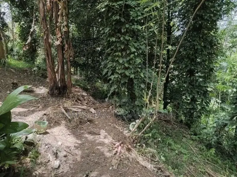 ඉඩම වීකීණීමට - Medawala