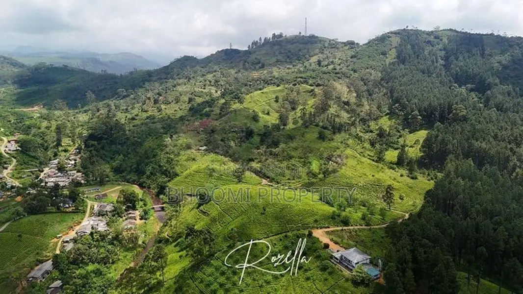 Nature surrounded Houses for sale in Rozella