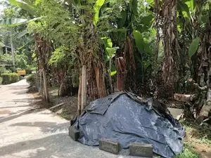 ඉඩම වීකීණීමට - Medawala