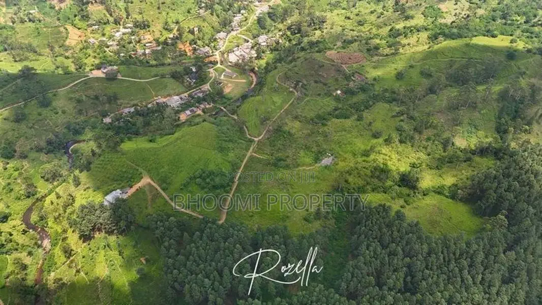 Nature surrounded Houses for sale in Rozella
