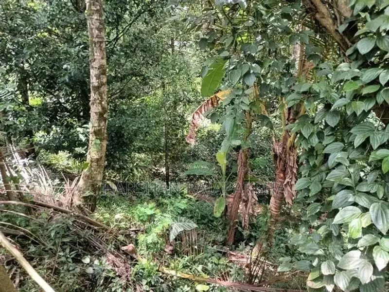 ඉඩම වීකීණීමට - Medawala