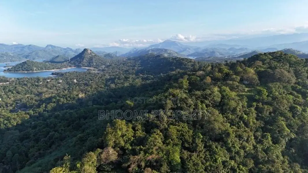 දිගන ඉඩමක් විකිණීමට