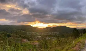 වටවල නගරයට ලගින්ම බිම් කොටස්