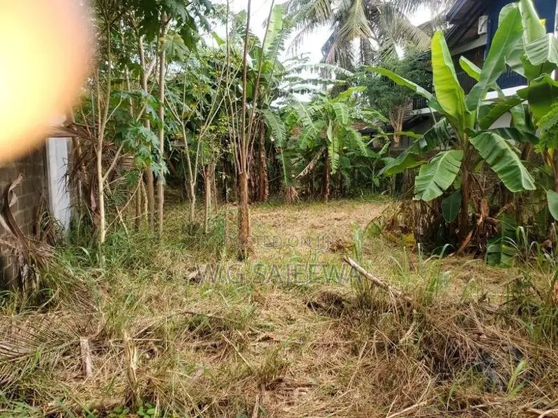 Land for Sale in Liyanagemulla