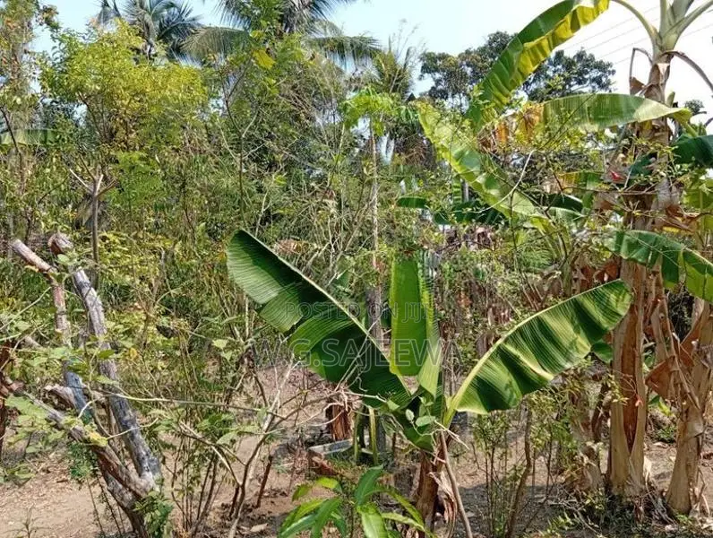 Land for Sale in Thibirigaskatuwa, Negombo