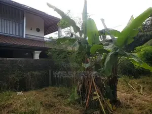 Land for Sale in Liyanagemulla