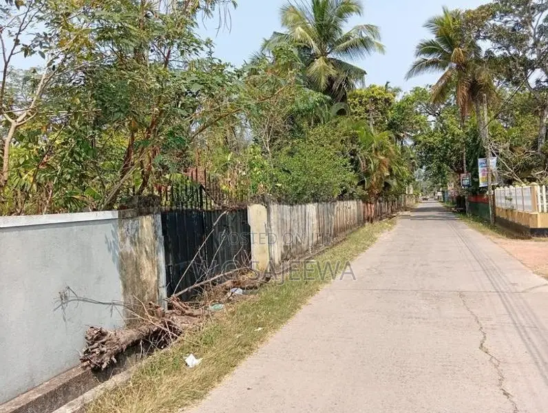 Land for Sale in Thibirigaskatuwa, Negombo