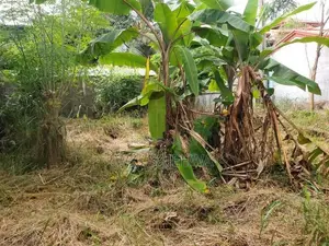 Land for Sale in Liyanagemulla