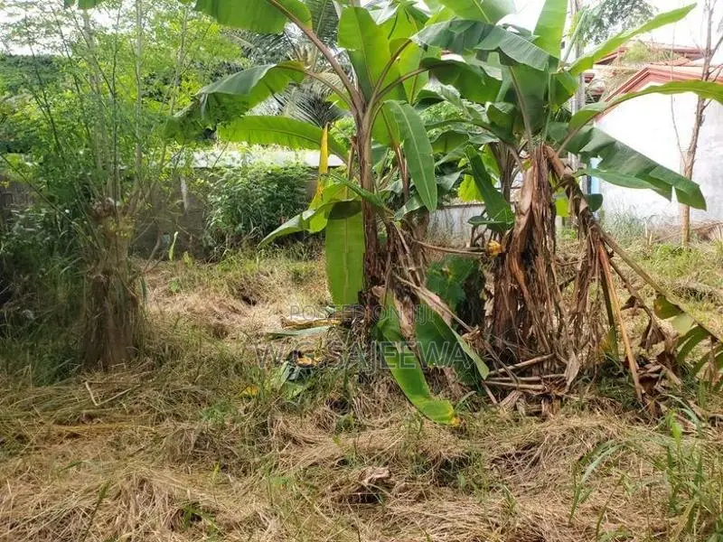 Land for Sale in Liyanagemulla