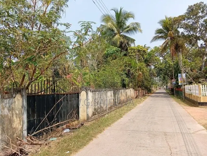 Land for Sale in Thibirigaskatuwa, Negombo