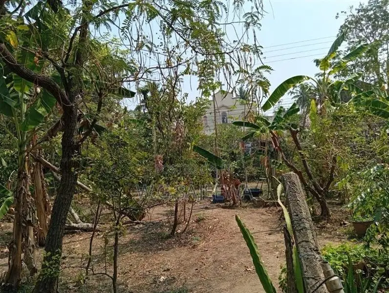Land for Sale in Thibirigaskatuwa, Negombo