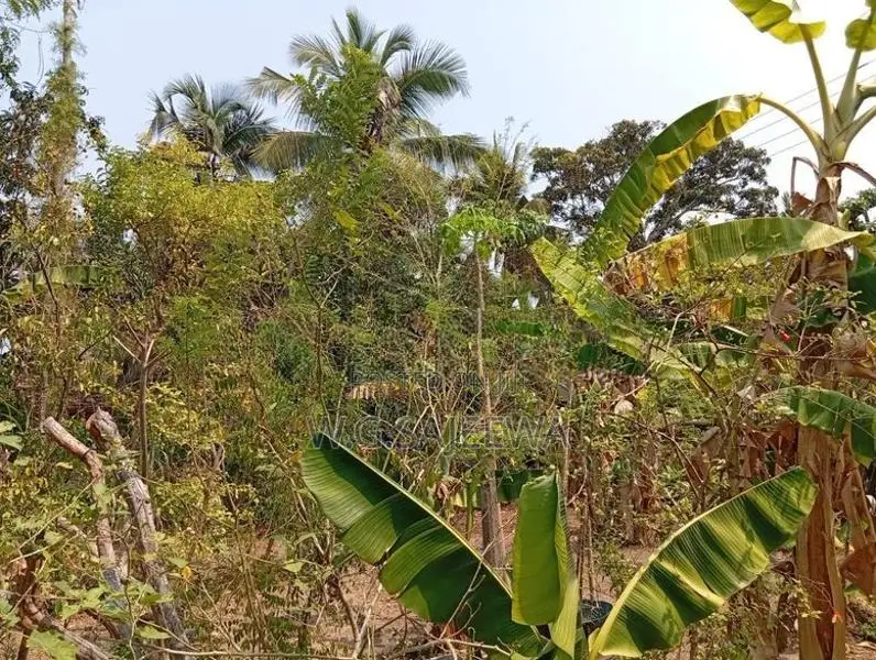 Land for Sale in Thibirigaskatuwa, Negombo