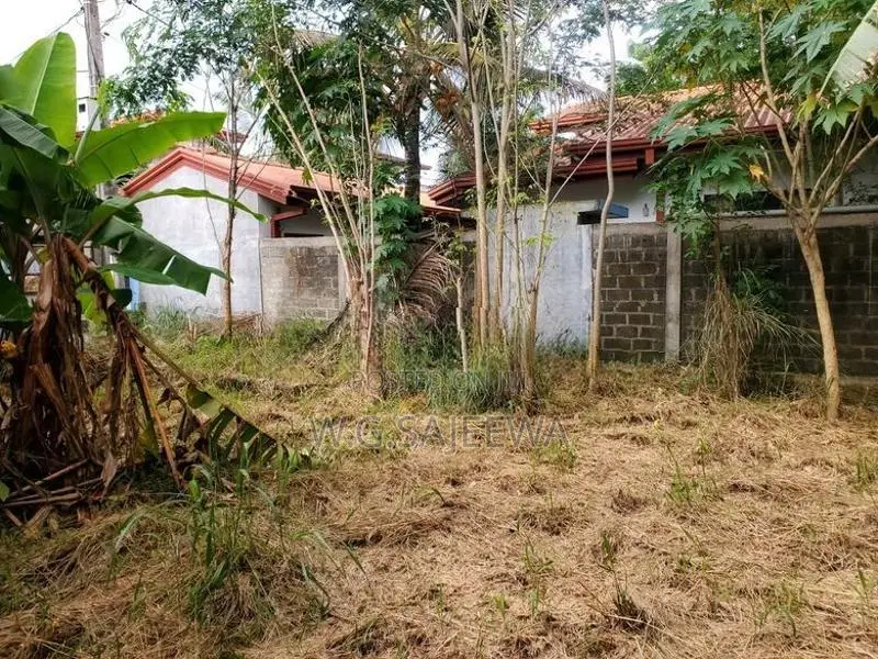 Land for Sale in Liyanagemulla