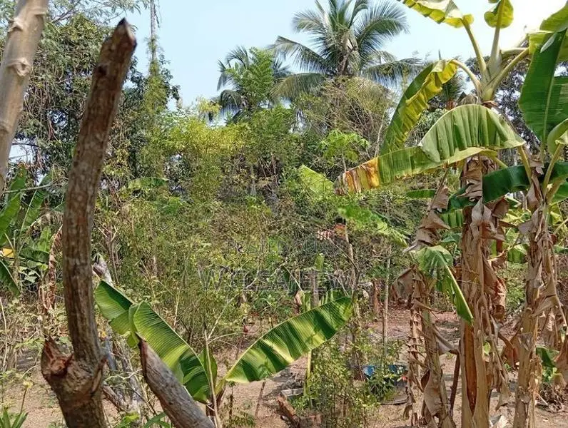 Land for Sale in Thibirigaskatuwa, Negombo