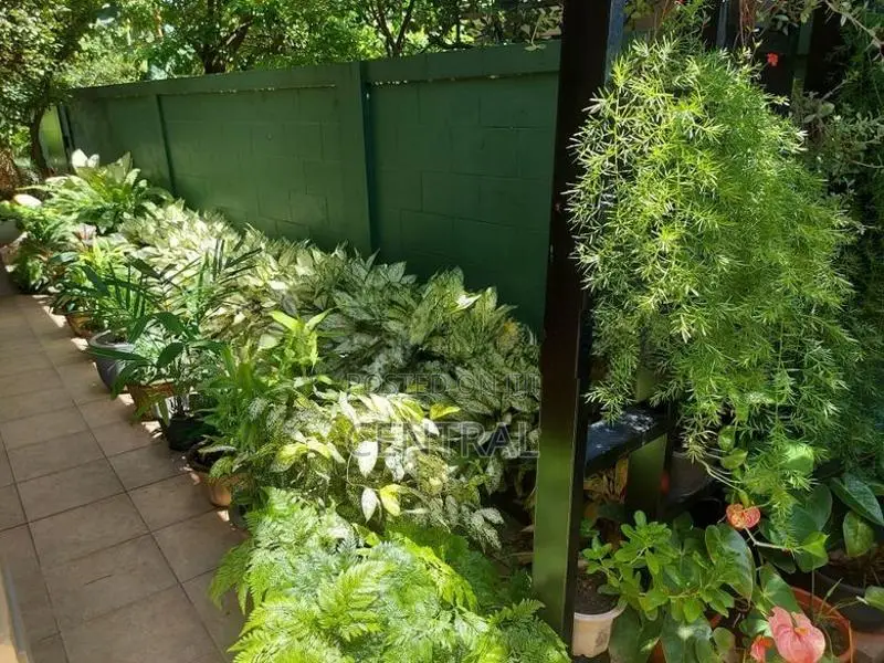 Luxurious 5 Bedroom 3-Story House for Sale in Paliyawatta (C7-5614)