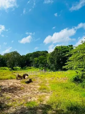 5 Acre Land for Sale in Wennappuwa (LA4747)