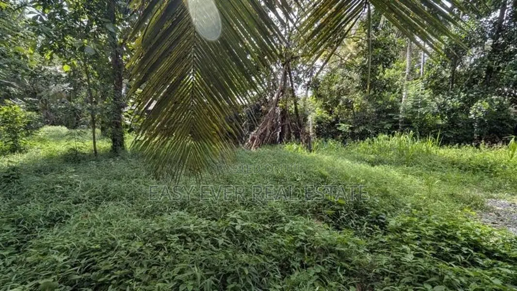 ඉබුල්ගොඩ – පියරත්න මාවතෙන් වටිනා ඉඩමක් /HS 14237